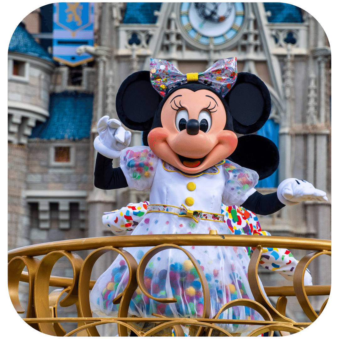 Minnie Mouse First Birthday Party Theme