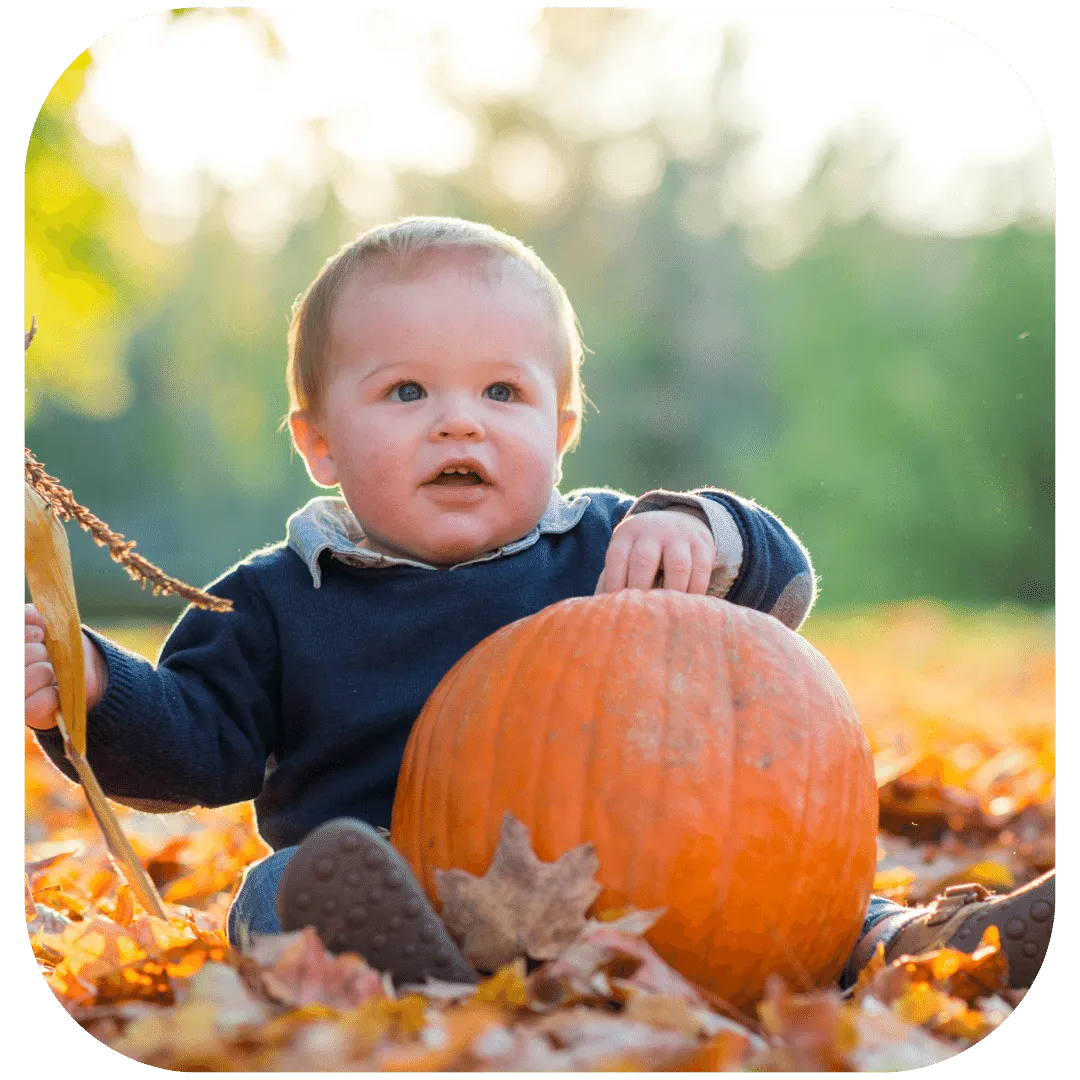 1 year old with a pumpkin on a fall leaf background for a Thanksgiving birthday