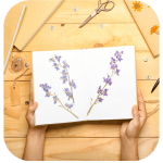 flowers being pressed in a notebook